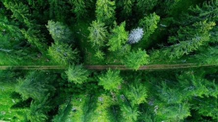 DJI_0566_050201.webp