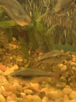 IMG_4172.jpeg