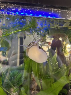 IMG_1173.jpeg