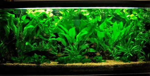 115g May 22-10.webp