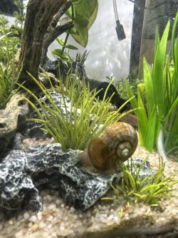 IMG_4418.jpeg