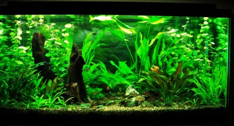 90g Apr 6-09.webp