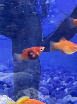 IMG_6885.jpeg
