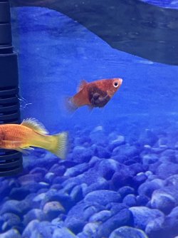 IMG_6889.jpeg
