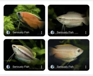 180A7F0E-31EA-40A8-9F96-20966CE81CF4.webp