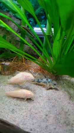 20230914_151938.webp