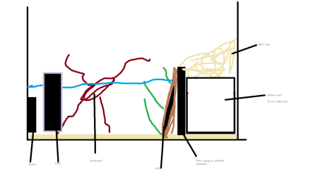 Paludarium plan.png