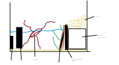 Paludarium plan.webp