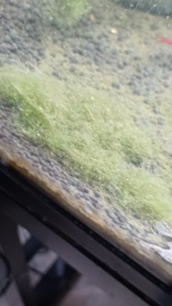 20230926_185826.jpg