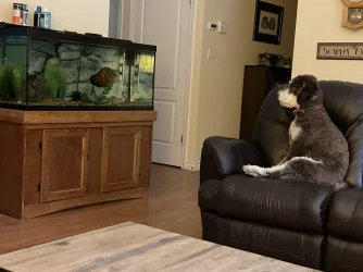 IMG_2619.webp