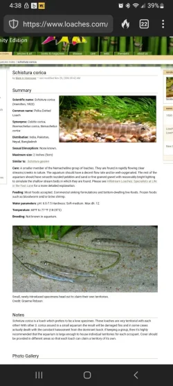Screenshot_20231016_163847_DuckDuckGo.webp
