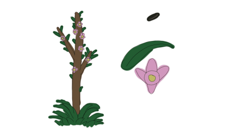 Screenshot (1290).png Screenshot (1290).png