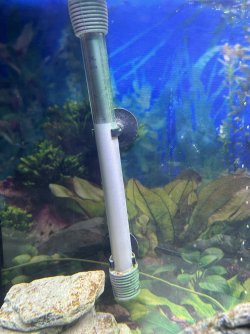 IMG_1156.jpeg