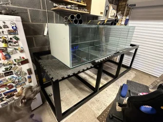tank 2.webp