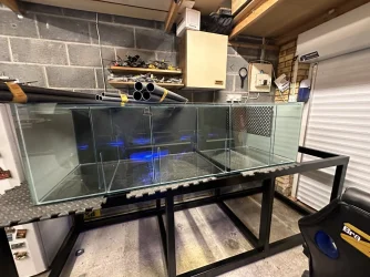 tank 3.webp