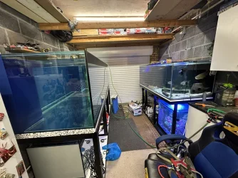 IMG_5133.webp