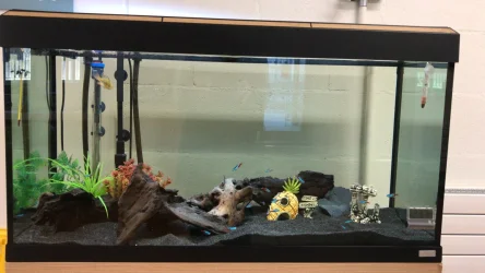 200L_Tank_School_01.webp