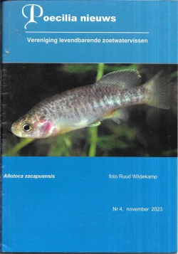poecilia nieuws nov2023.webp poecilia nieuws nov2023.webp