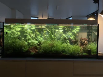 Community Tank.webp