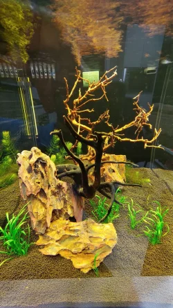 IMG_20230424_233803_hdr.webp
