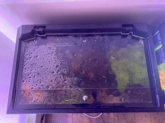 tank 2.jpg