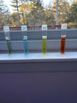 image.webp