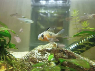 IMG-20231228-WA0020.webp