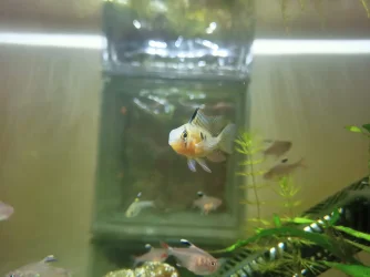 IMG-20231228-WA0018.webp