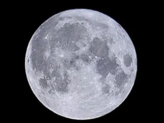 DSCN0856.webp