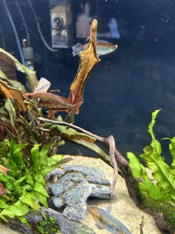 IMG_0892.jpeg
