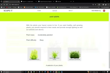 Screenshot (1304).webp