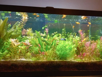 1-16-2024, photo 1.webp