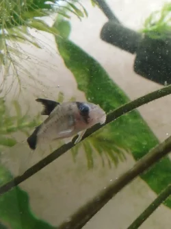20240122_122041.webp
