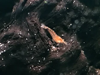 pic8.JPG