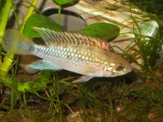 RSCN5014.webp