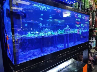FishMikes1.22.24_4.webp