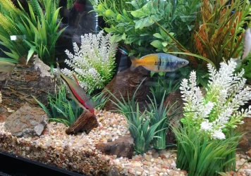 FishMikes1.22.24_7.webp