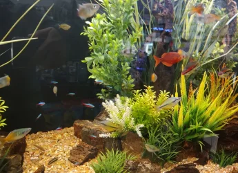 FishMikes1.22.24_8.webp