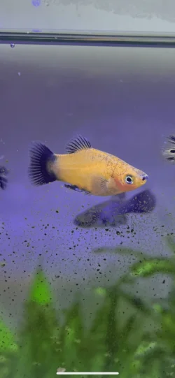 1E3931CD-F613-4A4E-98E9-D5199DBEE1EE.webp