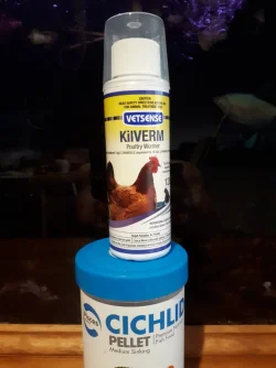 KilVerm.webp