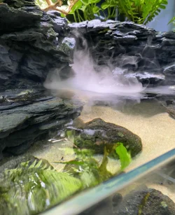 Screenshot (1371).webp