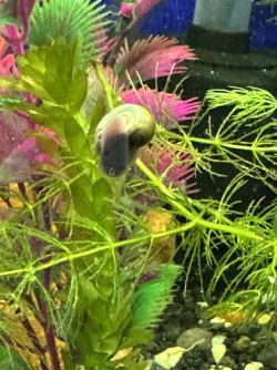 IMG_2156.jpeg