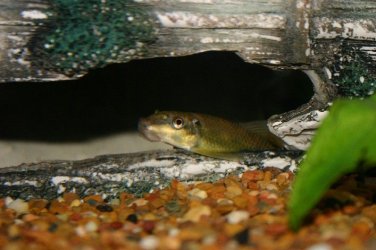 small_4064.JPG