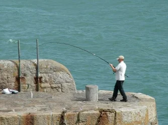 Dalkey_island_001_copy_S.webp