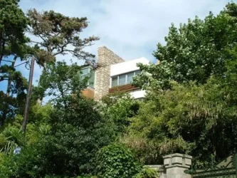 Dalkey_island_033_copy_S.webp