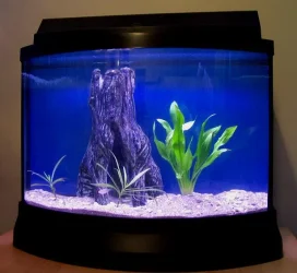 7_gallon.webp
