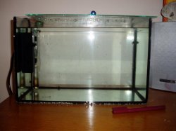 P1010002.JPG
