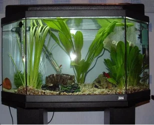 newtank.webp