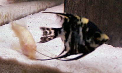 100_0139.jpg