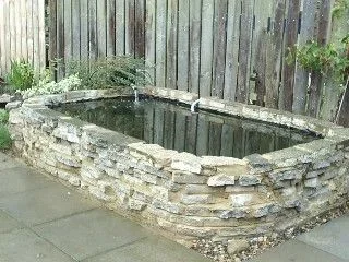 pond.webp